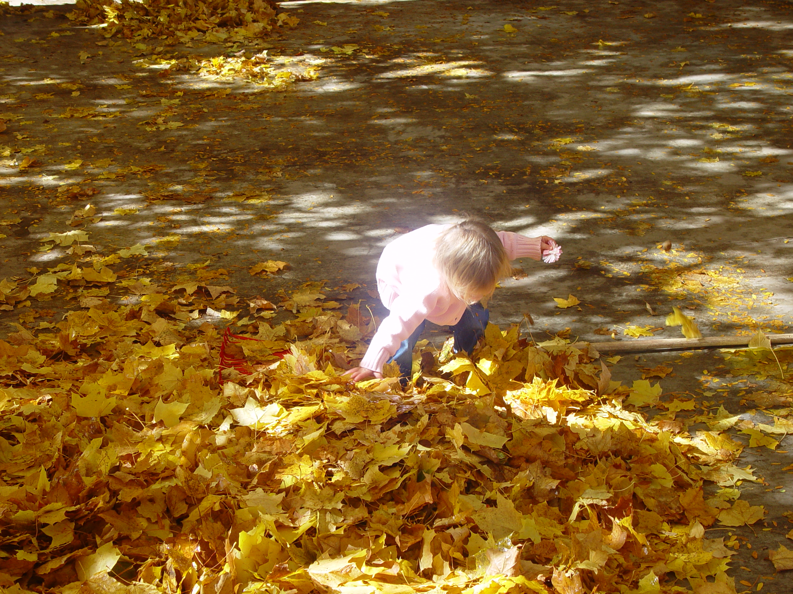 Playing in the Leaves, The Pumpkin Walk (North Logan, Utah)