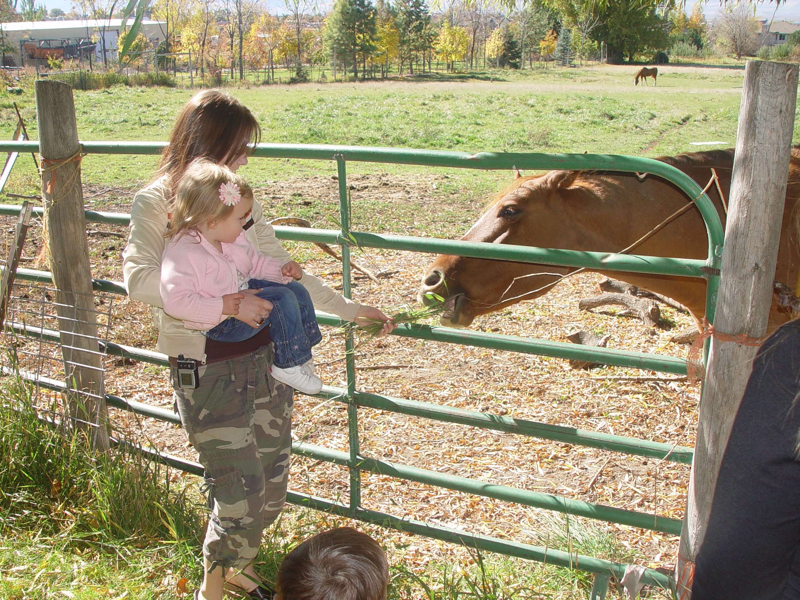 Playing in the Leaves, The Pumpkin Walk (North Logan, Utah)