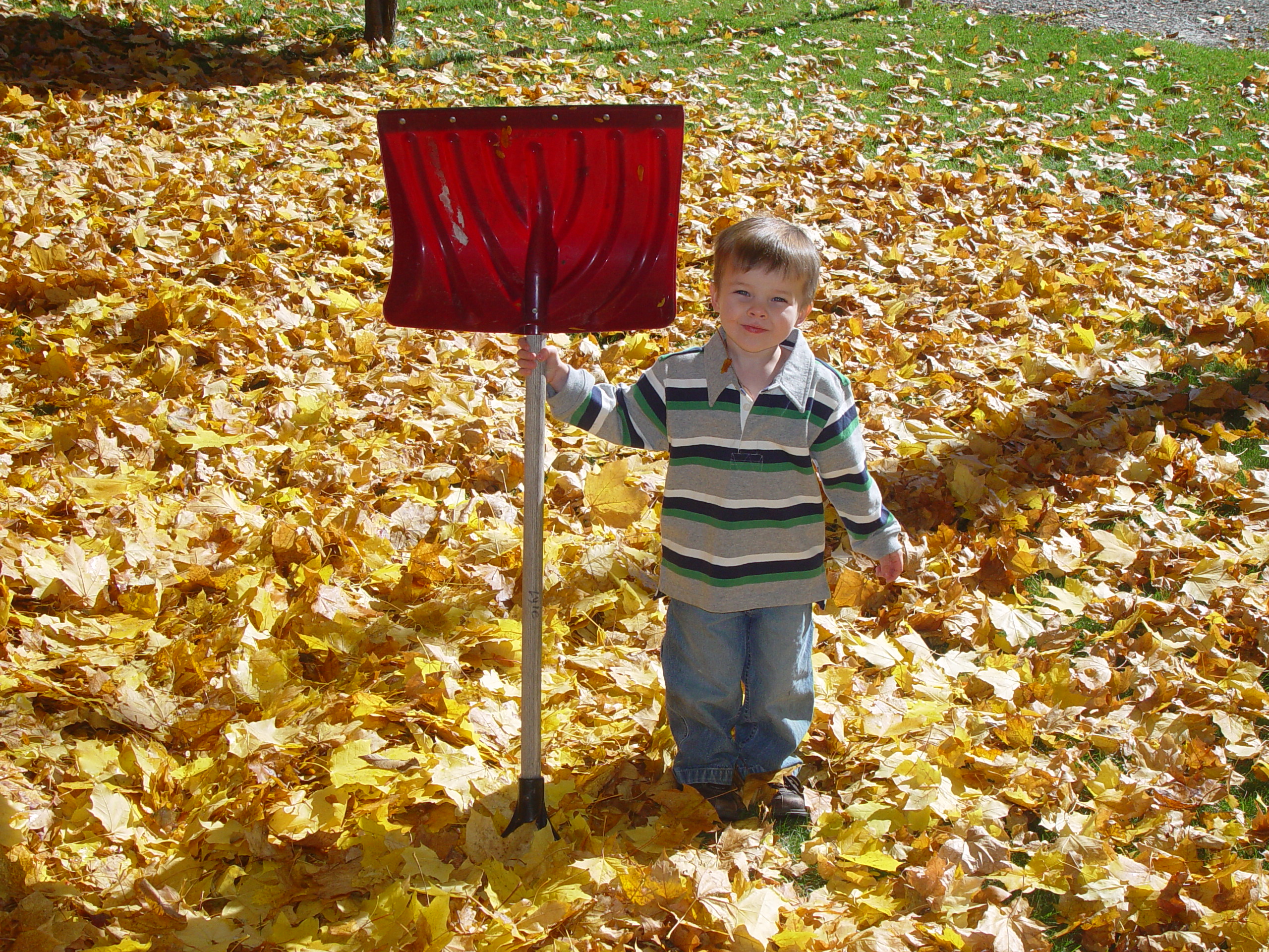 Playing in the Leaves, The Pumpkin Walk (North Logan, Utah)