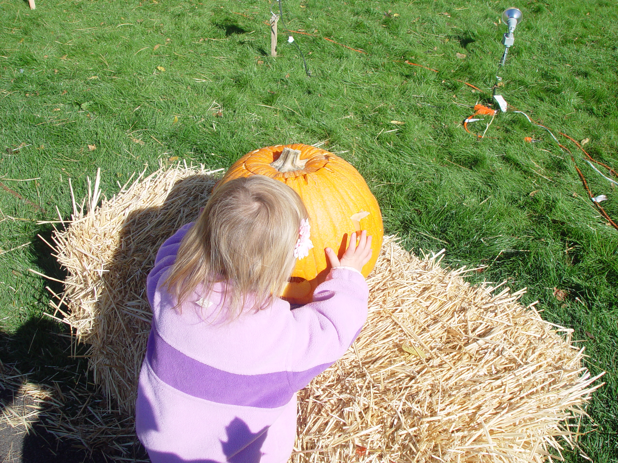 Playing in the Leaves, The Pumpkin Walk (North Logan, Utah)