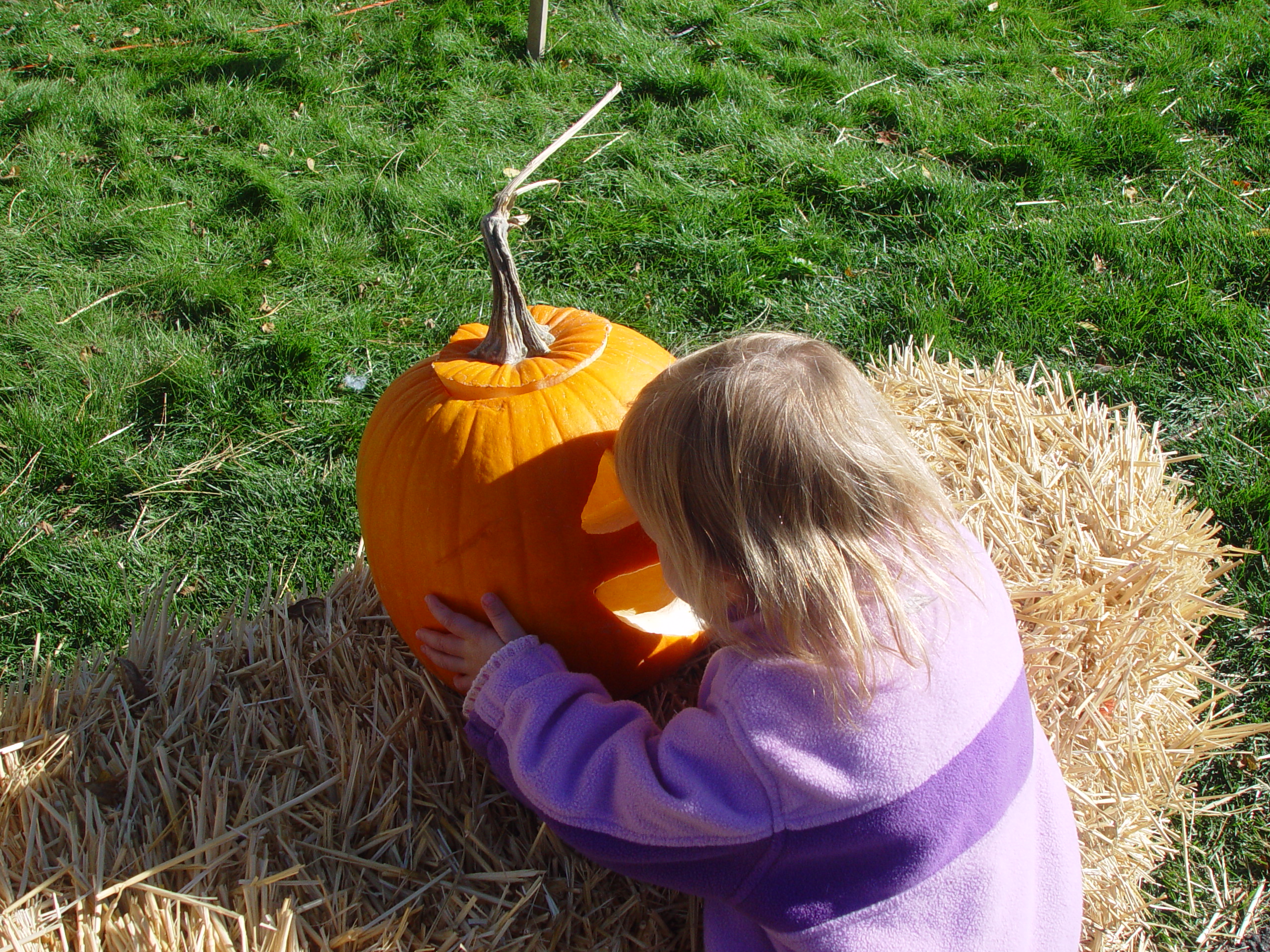 Playing in the Leaves, The Pumpkin Walk (North Logan, Utah)