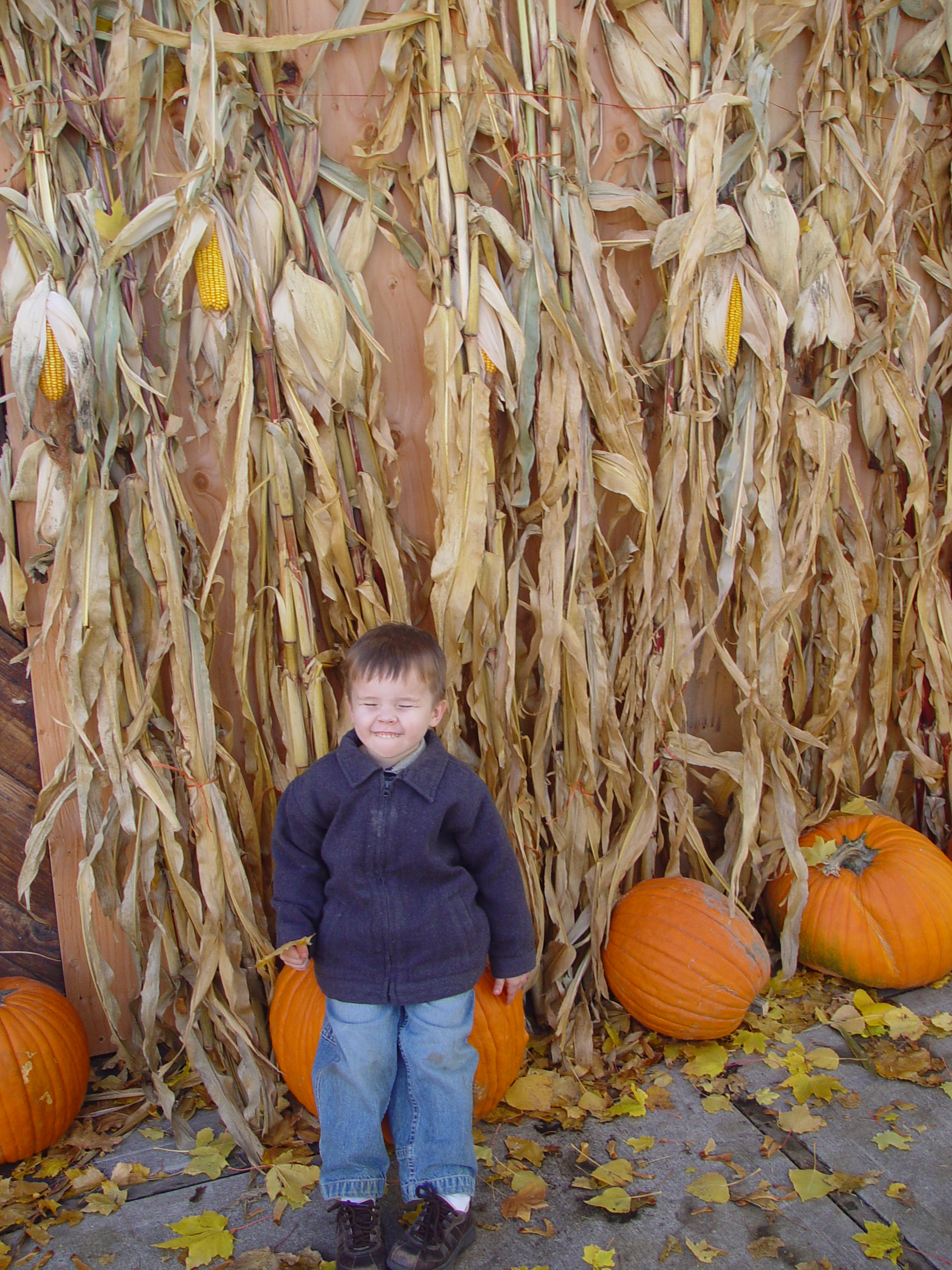 Playing in the Leaves, The Pumpkin Walk (North Logan, Utah)