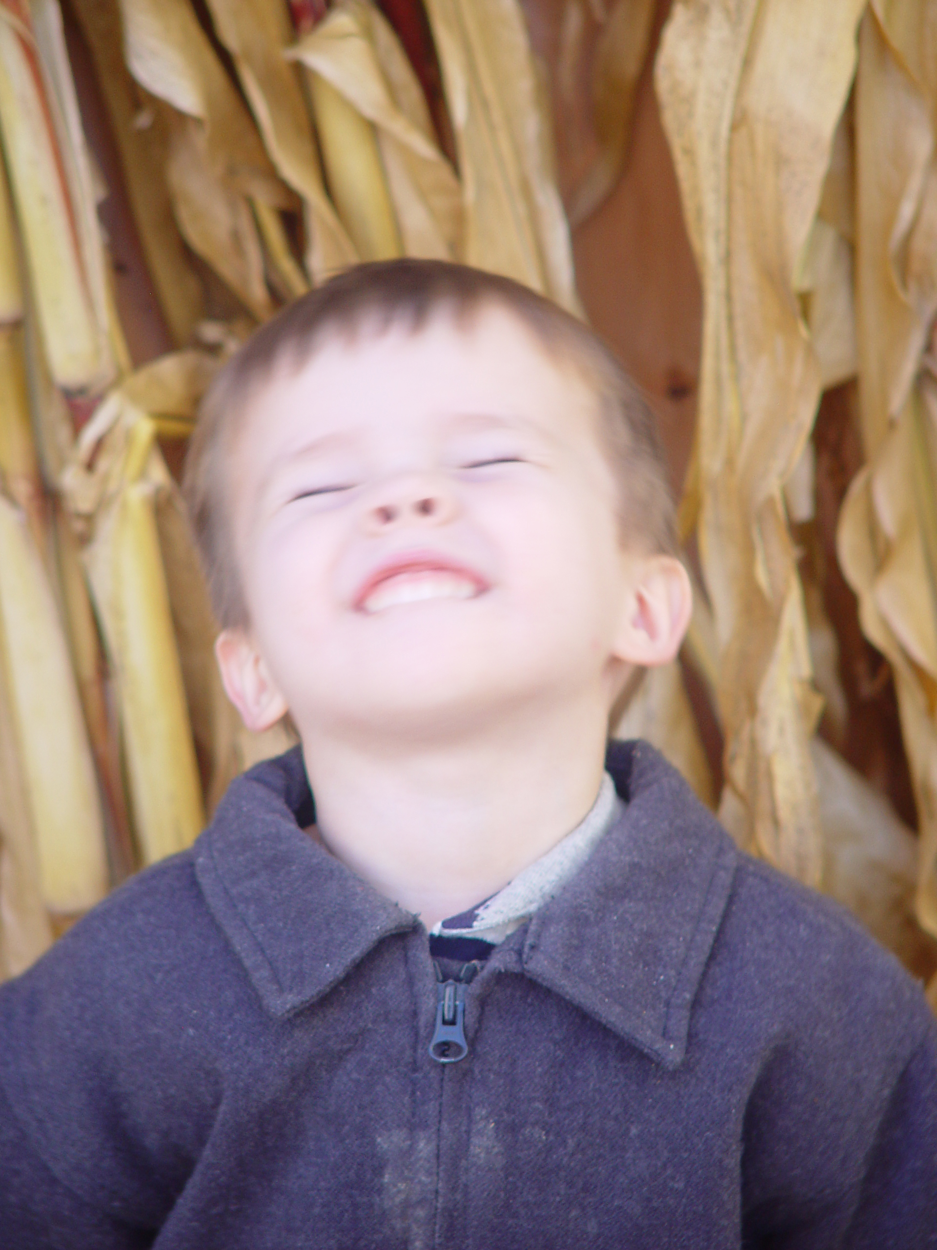 Playing in the Leaves, The Pumpkin Walk (North Logan, Utah)