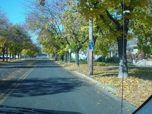 Playing in the Leaves, The Pumpkin Walk (North Logan, Utah)