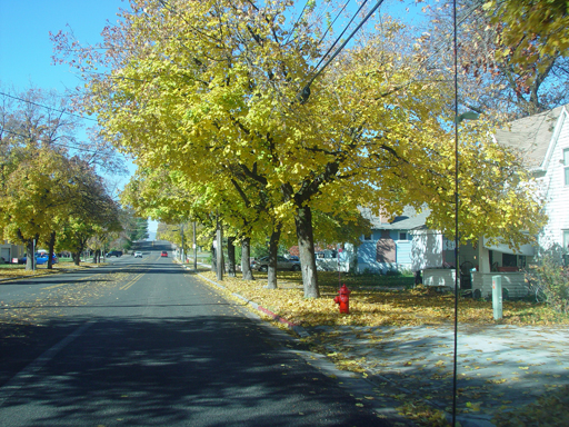 Playing in the Leaves, The Pumpkin Walk (North Logan, Utah)