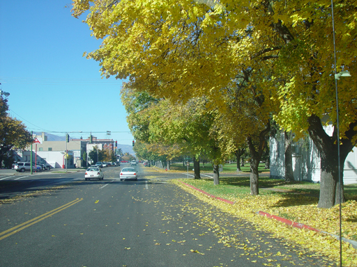 Playing in the Leaves, The Pumpkin Walk (North Logan, Utah)