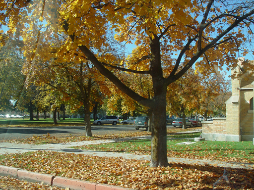 Playing in the Leaves, The Pumpkin Walk (North Logan, Utah)