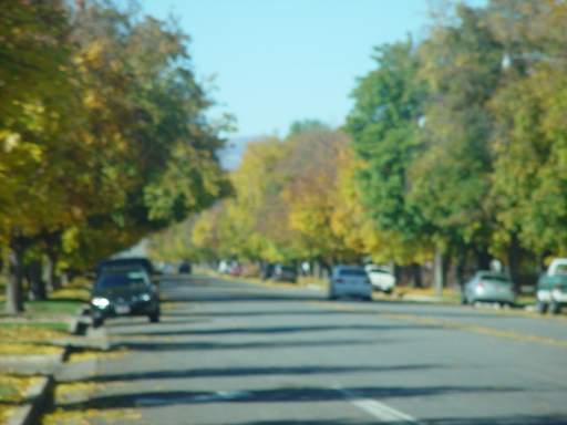 Playing in the Leaves, The Pumpkin Walk (North Logan, Utah)