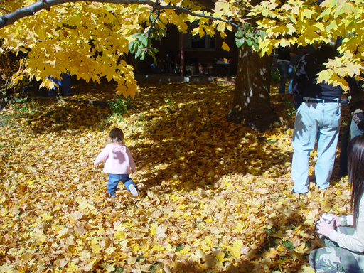 Playing in the Leaves, The Pumpkin Walk (North Logan, Utah)