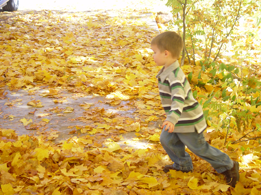 Playing in the Leaves, The Pumpkin Walk (North Logan, Utah)