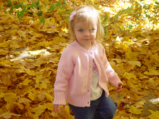 Playing in the Leaves, The Pumpkin Walk (North Logan, Utah)