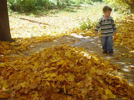 Playing in the Leaves, The Pumpkin Walk (North Logan, Utah)