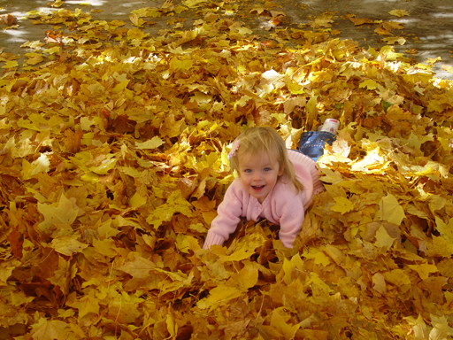 Playing in the Leaves, The Pumpkin Walk (North Logan, Utah)