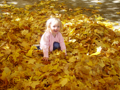 Playing in the Leaves, The Pumpkin Walk (North Logan, Utah)