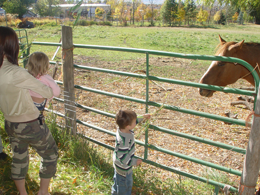 Playing in the Leaves, The Pumpkin Walk (North Logan, Utah)