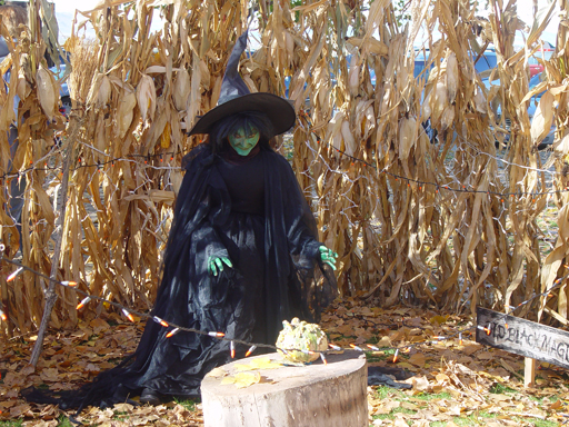 Playing in the Leaves, The Pumpkin Walk (North Logan, Utah)