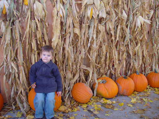 Playing in the Leaves, The Pumpkin Walk (North Logan, Utah)