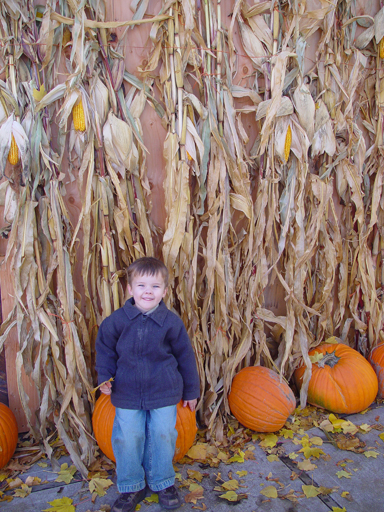 Playing in the Leaves, The Pumpkin Walk (North Logan, Utah)