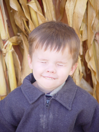 Playing in the Leaves, The Pumpkin Walk (North Logan, Utah)