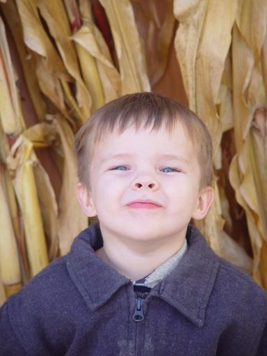 Playing in the Leaves, The Pumpkin Walk (North Logan, Utah)