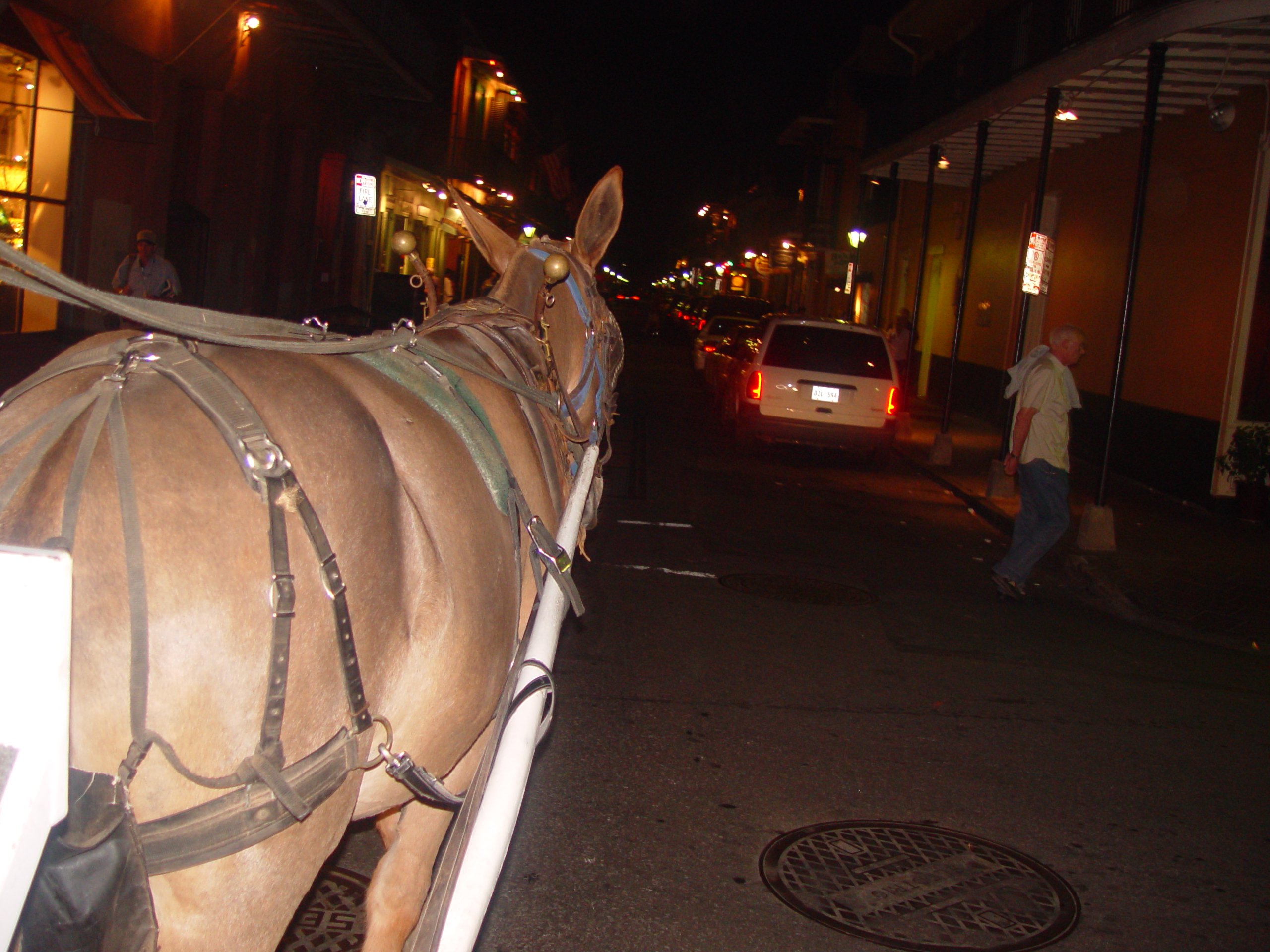 New Orleans Trip - Day 2 (Ava's 2nd Birthday, French Quarter, Cafe Du Monde)