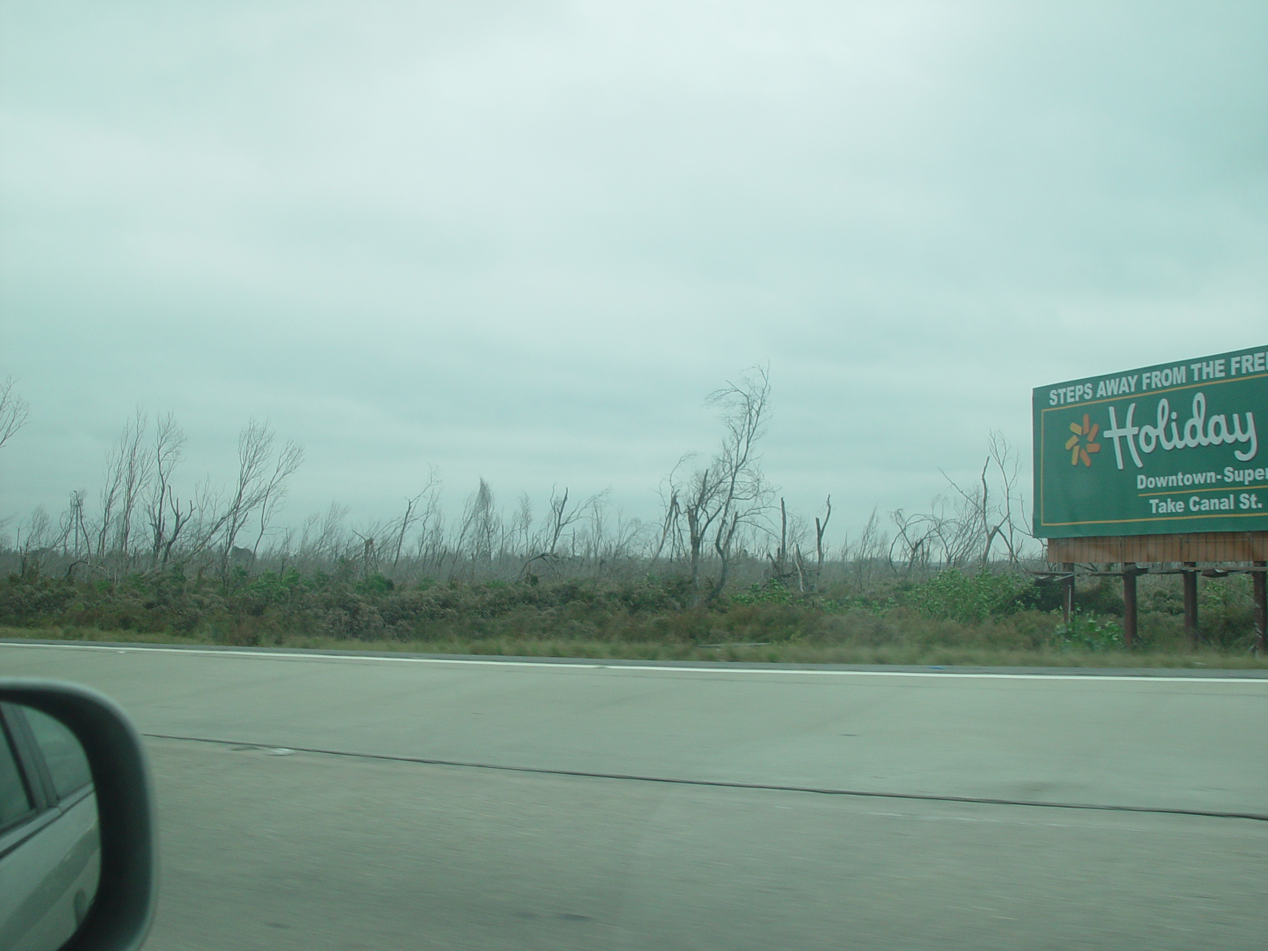 New Orleans Trip - Day 3 (Gumbo & Alligator Sausage, Hurricane Katrina Devastation, Swamp Tour)