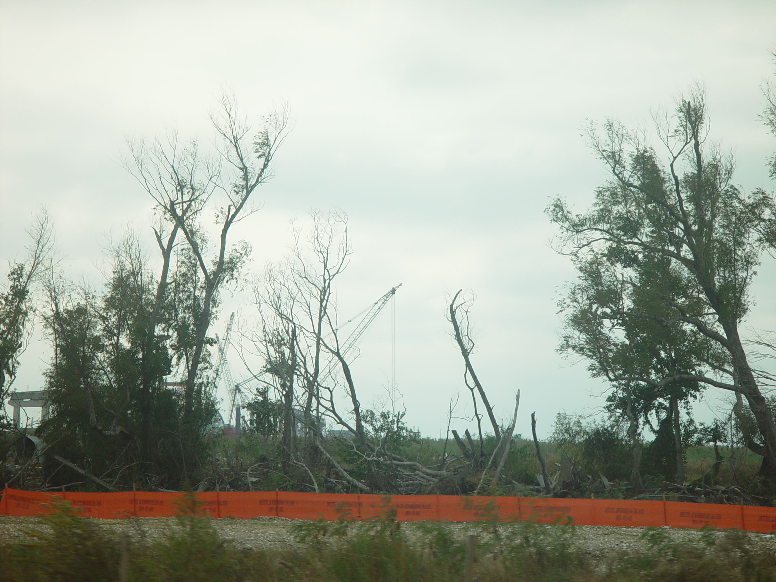 New Orleans Trip - Day 3 (Gumbo & Alligator Sausage, Hurricane Katrina Devastation, Swamp Tour)