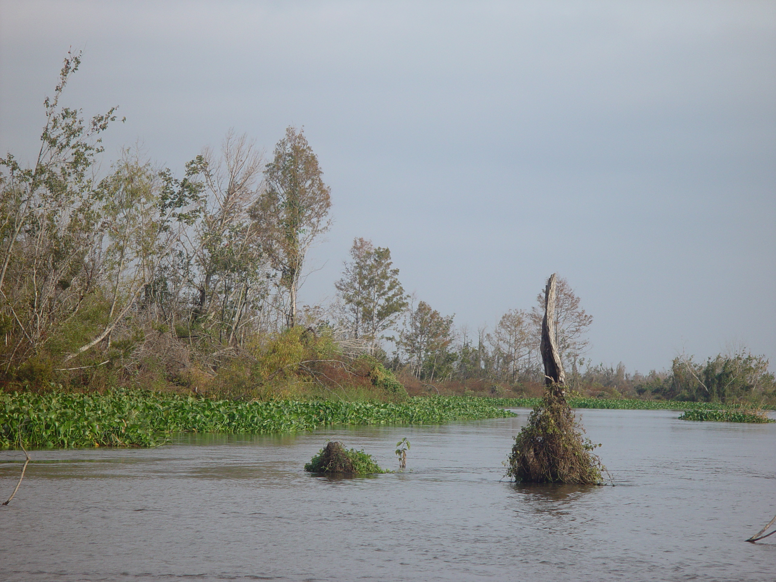 New Orleans Trip - Day 3 (Gumbo & Alligator Sausage, Hurricane Katrina Devastation, Swamp Tour)