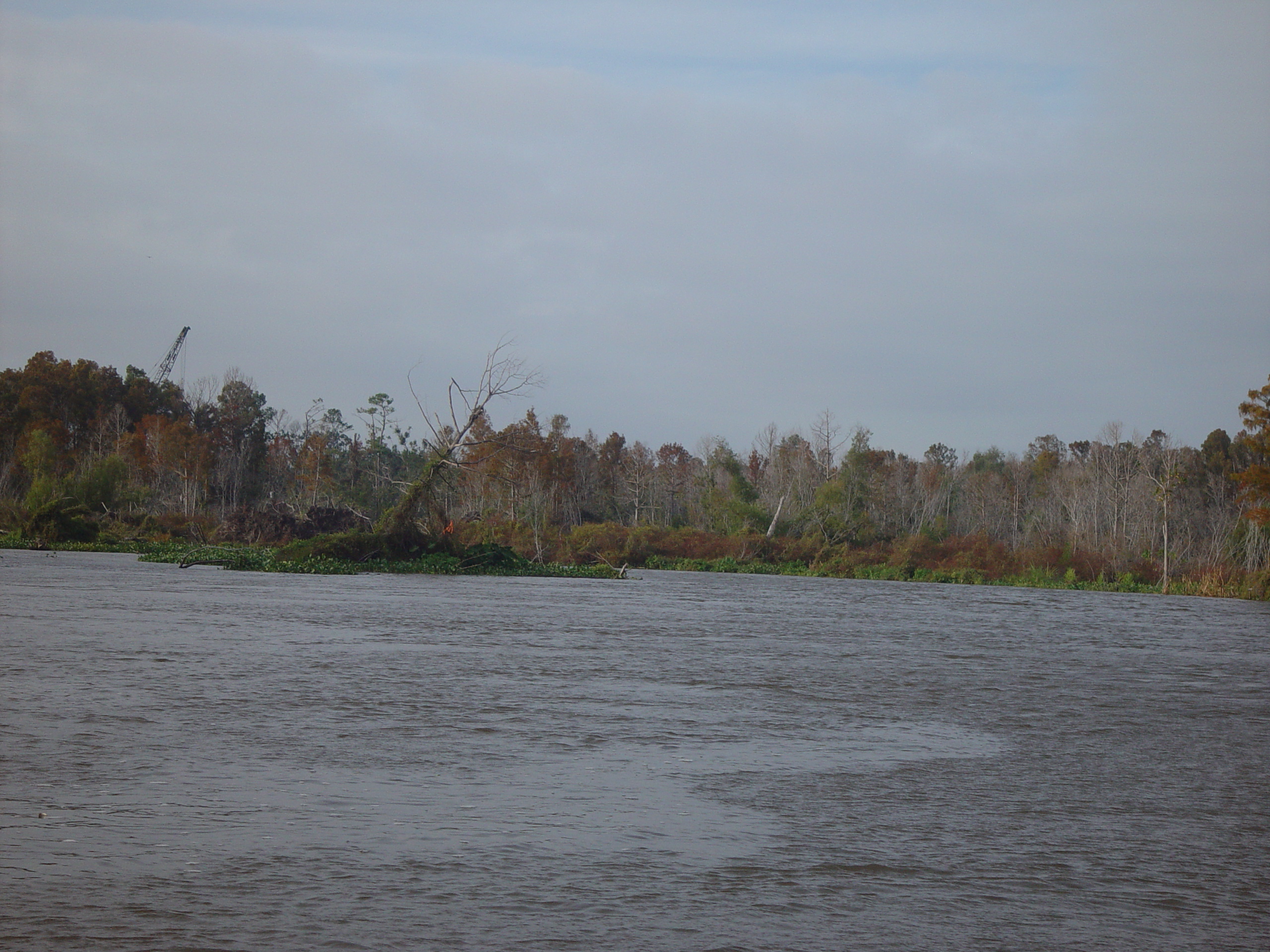 New Orleans Trip - Day 3 (Gumbo & Alligator Sausage, Hurricane Katrina Devastation, Swamp Tour)