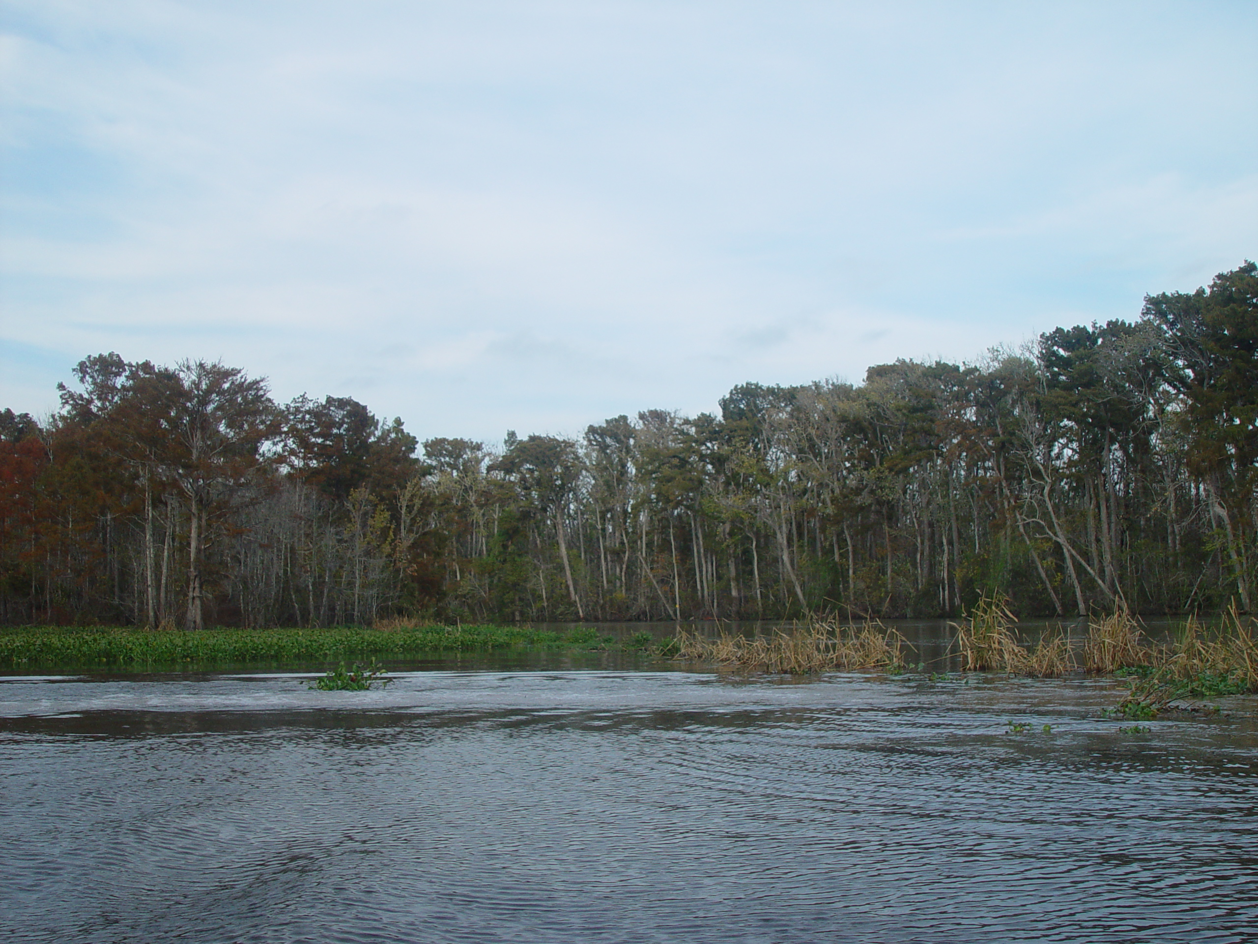 New Orleans Trip - Day 3 (Gumbo & Alligator Sausage, Hurricane Katrina Devastation, Swamp Tour)