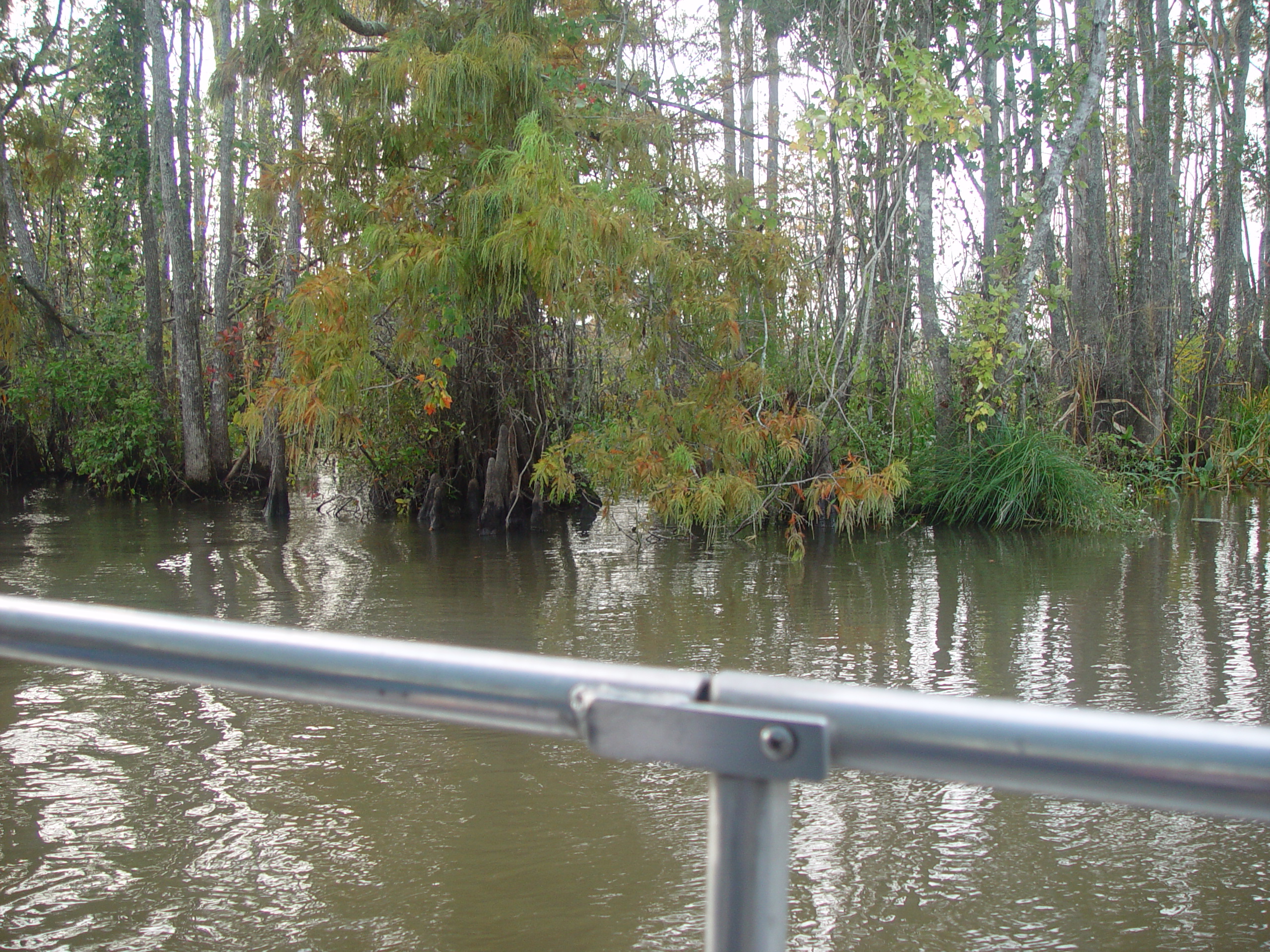 New Orleans Trip - Day 3 (Gumbo & Alligator Sausage, Hurricane Katrina Devastation, Swamp Tour)