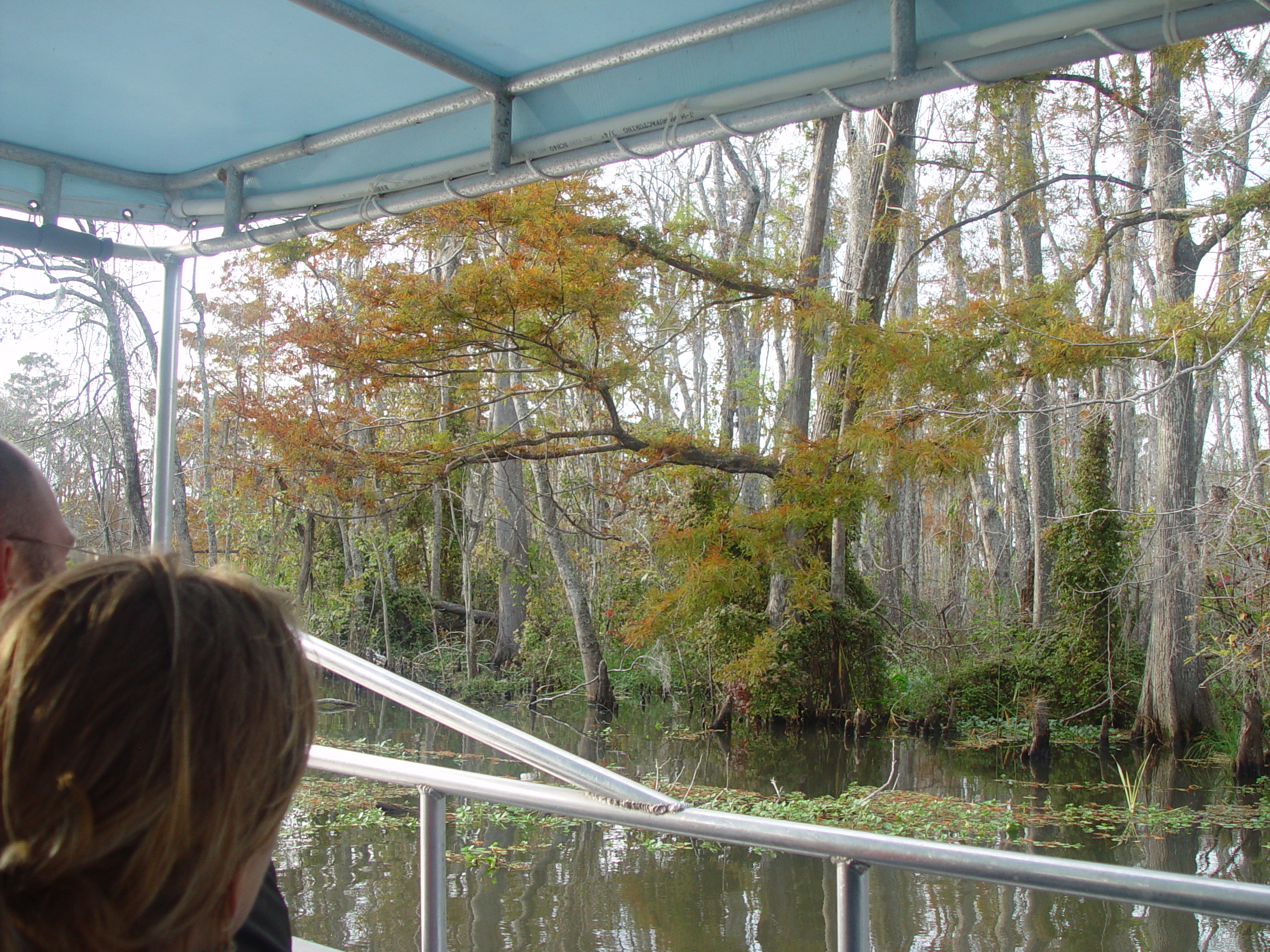 New Orleans Trip - Day 3 (Gumbo & Alligator Sausage, Hurricane Katrina Devastation, Swamp Tour)