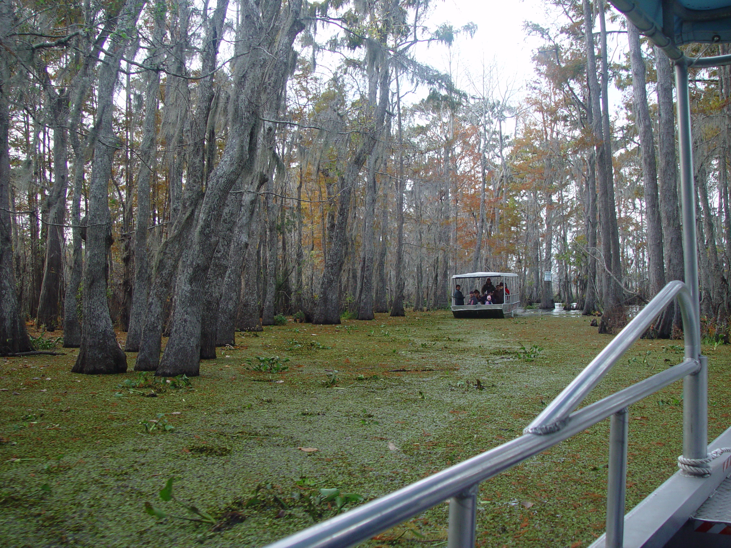 New Orleans Trip - Day 3 (Gumbo & Alligator Sausage, Hurricane Katrina Devastation, Swamp Tour)