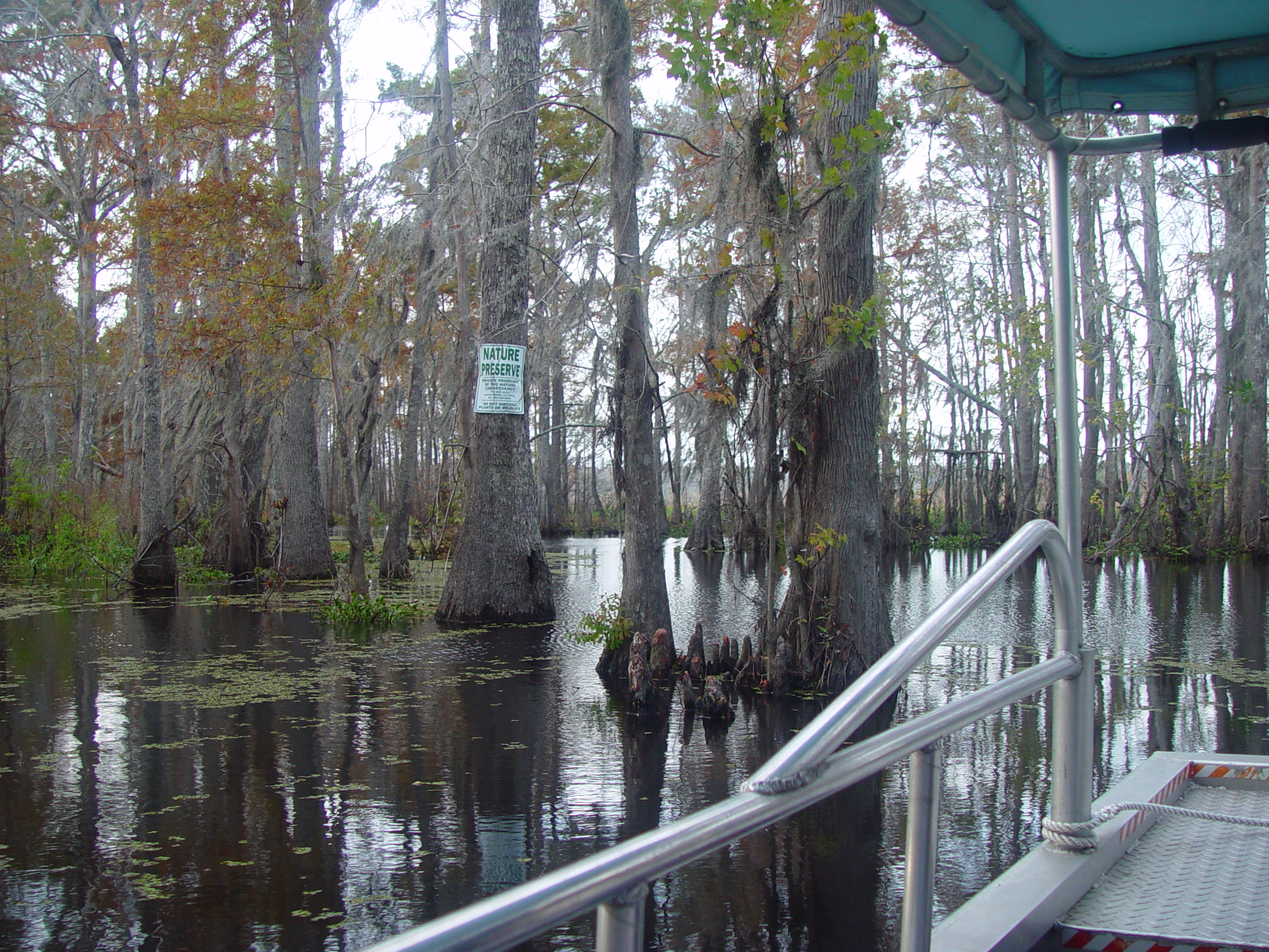 New Orleans Trip - Day 3 (Gumbo & Alligator Sausage, Hurricane Katrina Devastation, Swamp Tour)