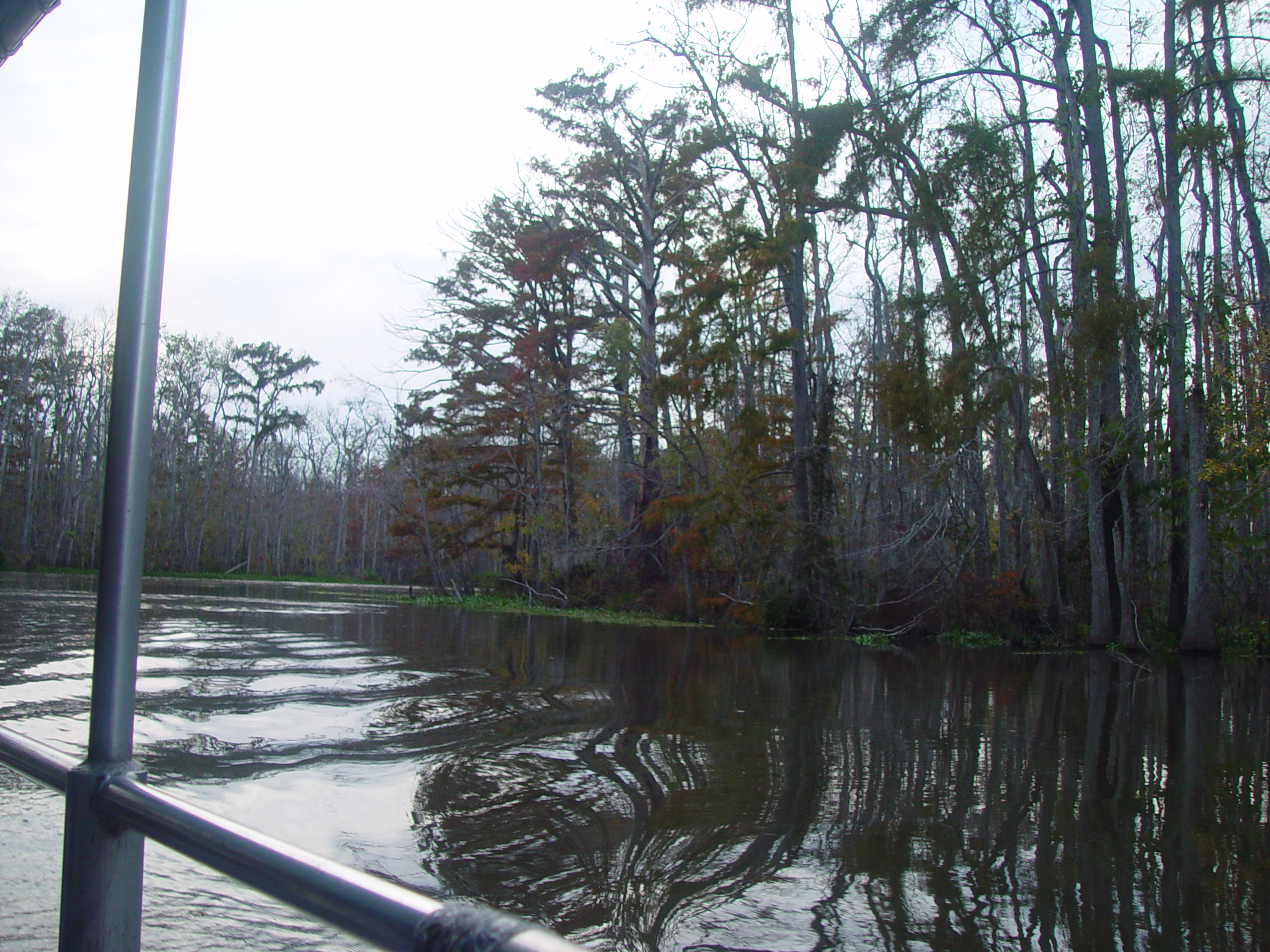 New Orleans Trip - Day 3 (Gumbo & Alligator Sausage, Hurricane Katrina Devastation, Swamp Tour)