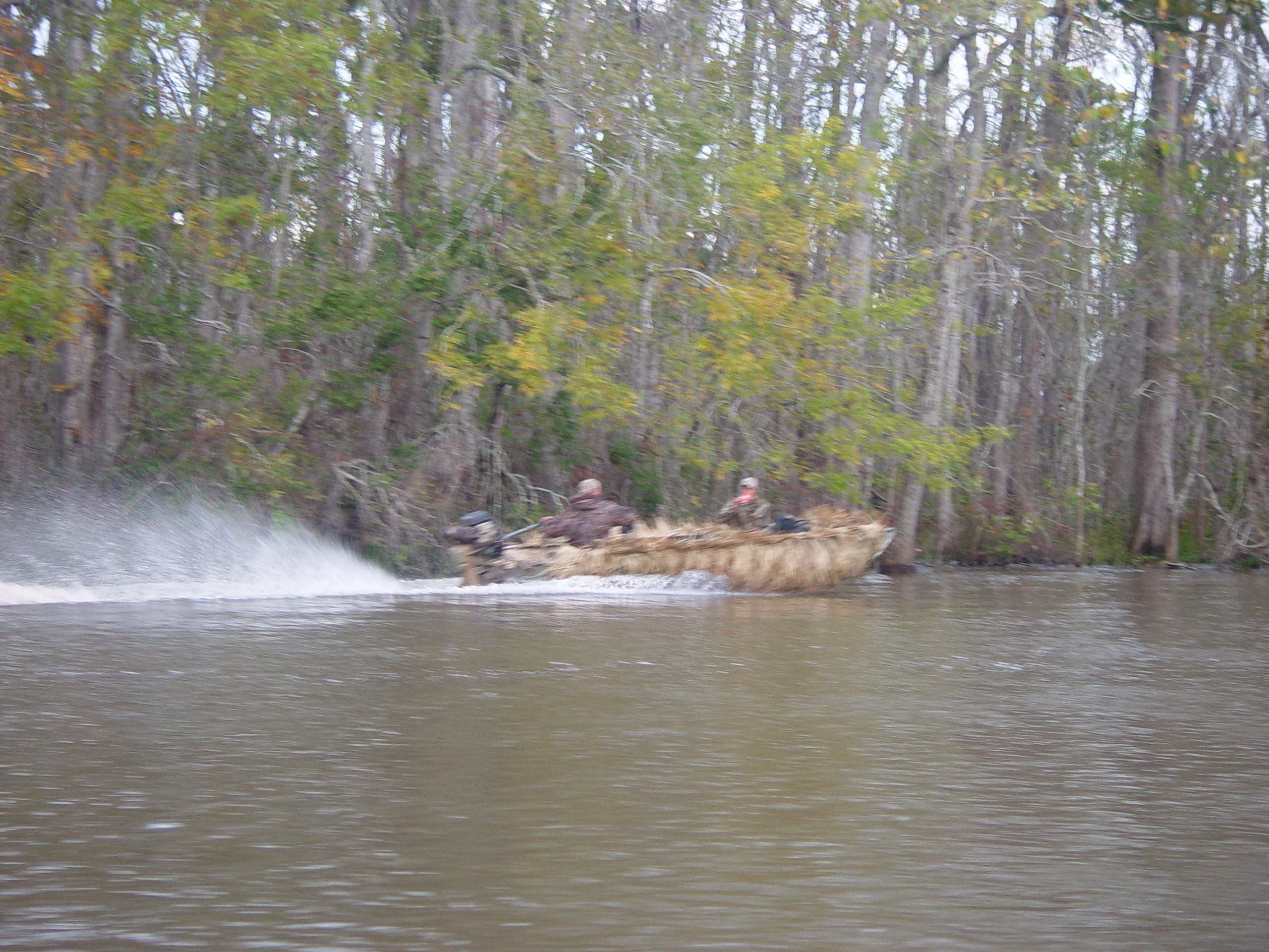 New Orleans Trip - Day 3 (Gumbo & Alligator Sausage, Hurricane Katrina Devastation, Swamp Tour)