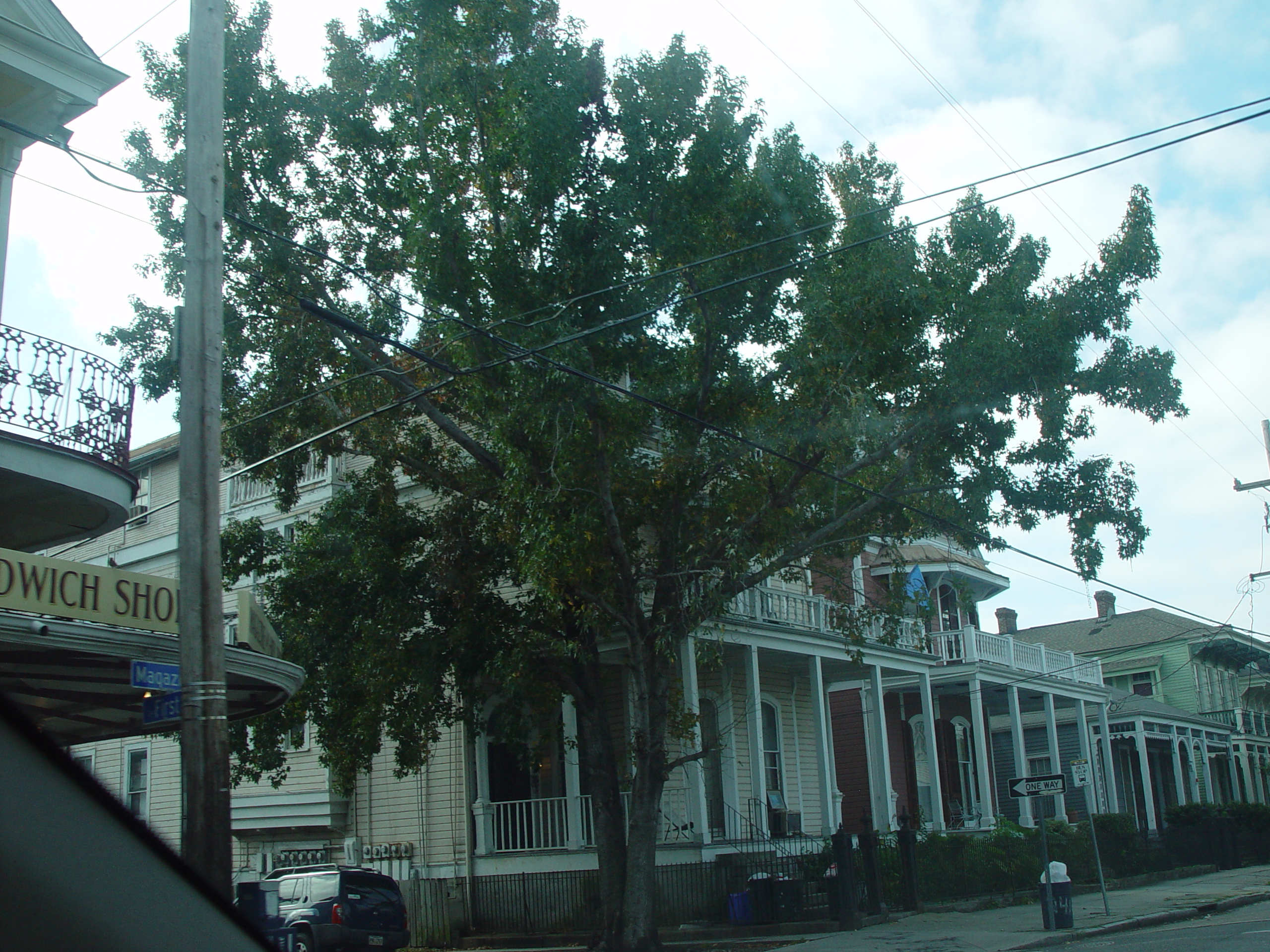 New Orleans Trip - Day 4 (Hurricane Katrina Devastation, Graveyards, Garden District, Oak Alley Plantation, Cajun Food)