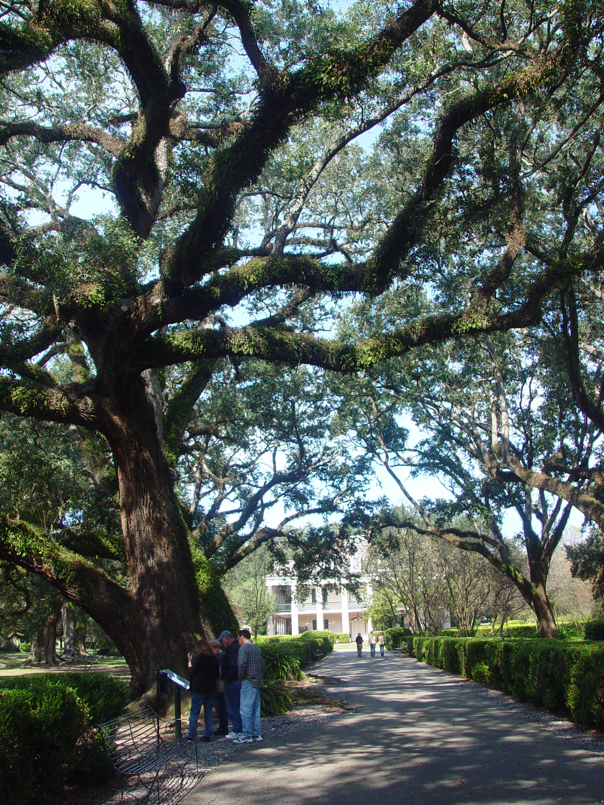 New Orleans Trip - Day 4 (Hurricane Katrina Devastation, Graveyards, Garden District, Oak Alley Plantation, Cajun Food)