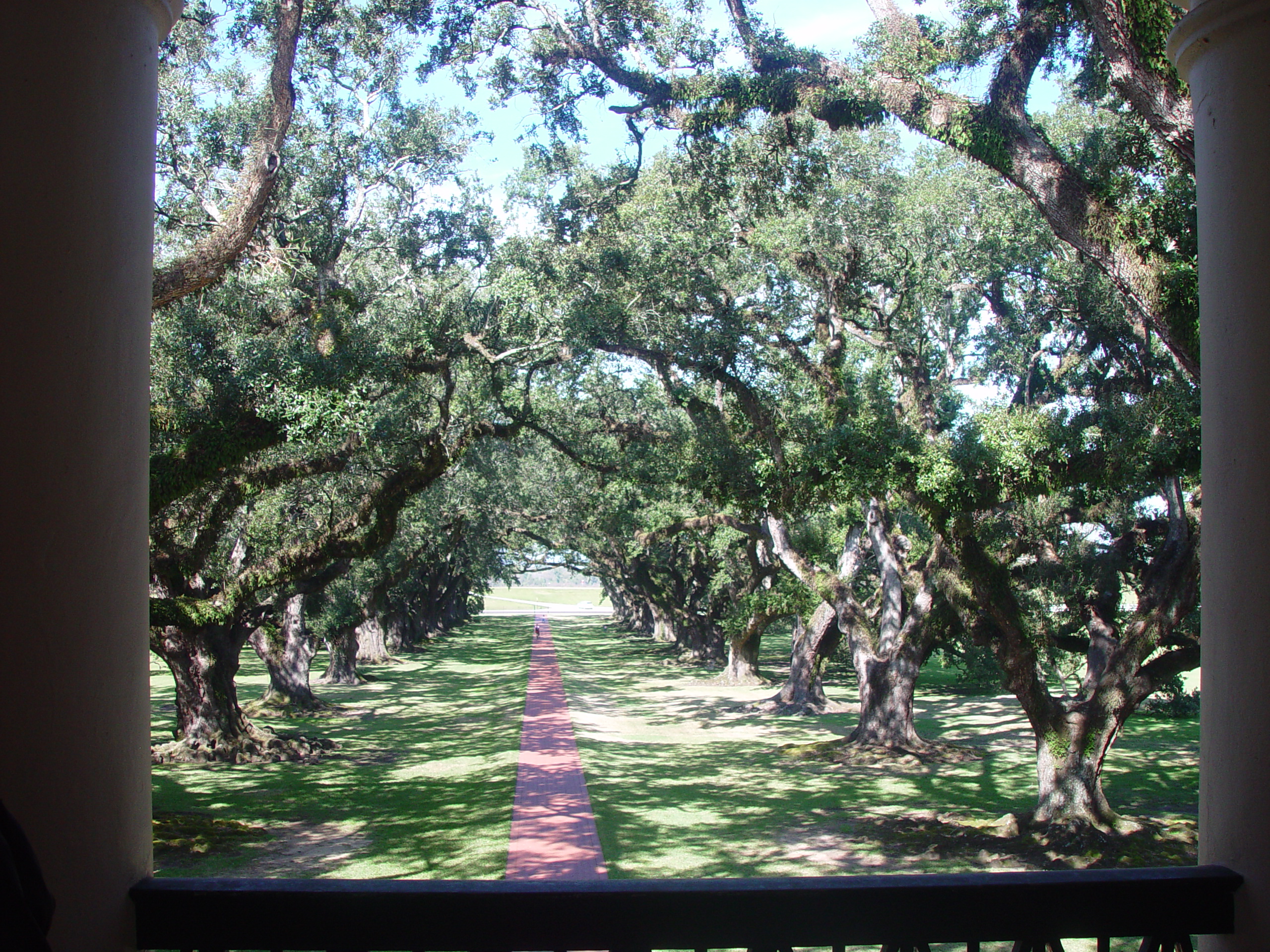 New Orleans Trip - Day 4 (Hurricane Katrina Devastation, Graveyards, Garden District, Oak Alley Plantation, Cajun Food)