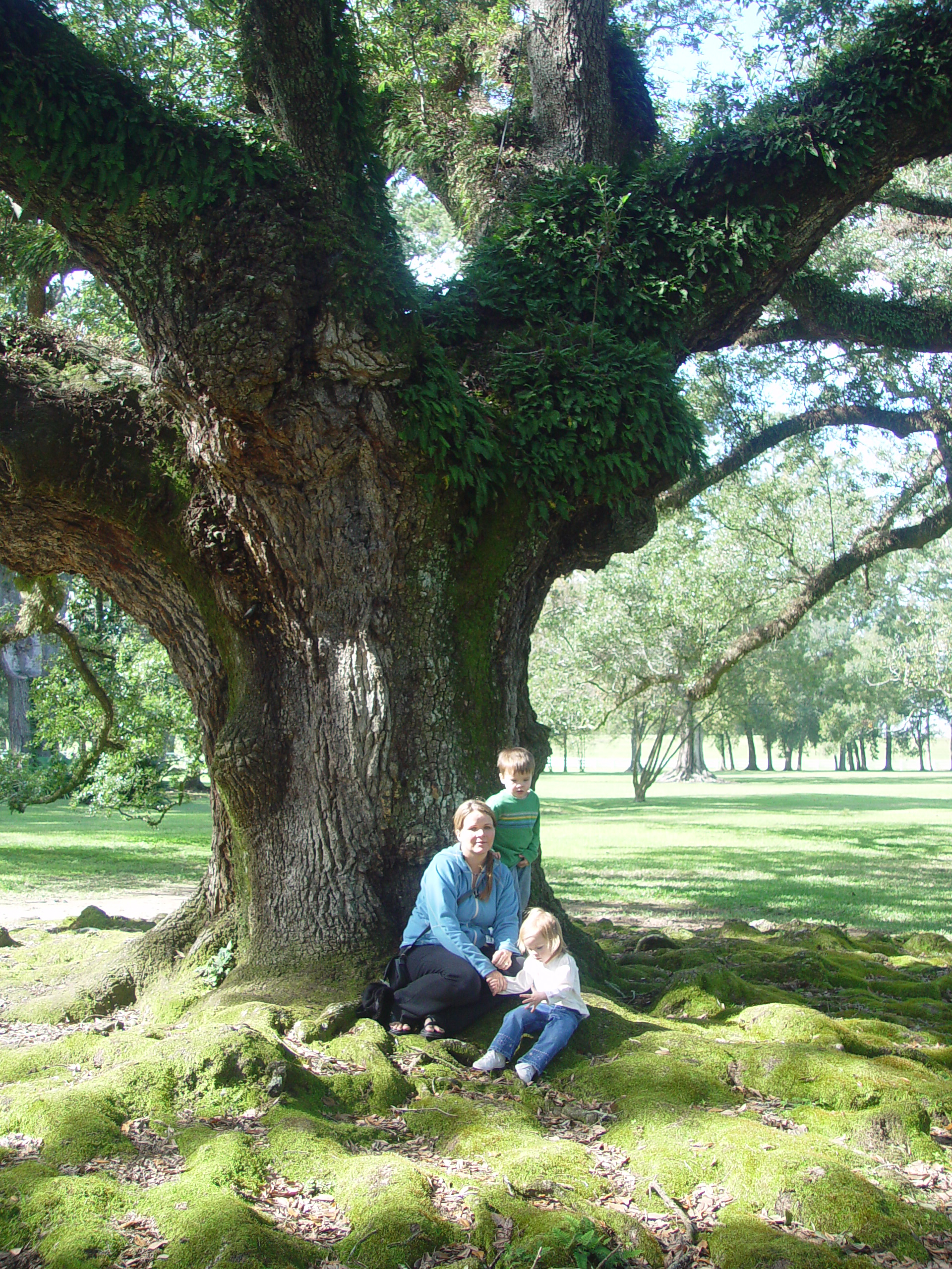 New Orleans Trip - Day 4 (Hurricane Katrina Devastation, Graveyards, Garden District, Oak Alley Plantation, Cajun Food)