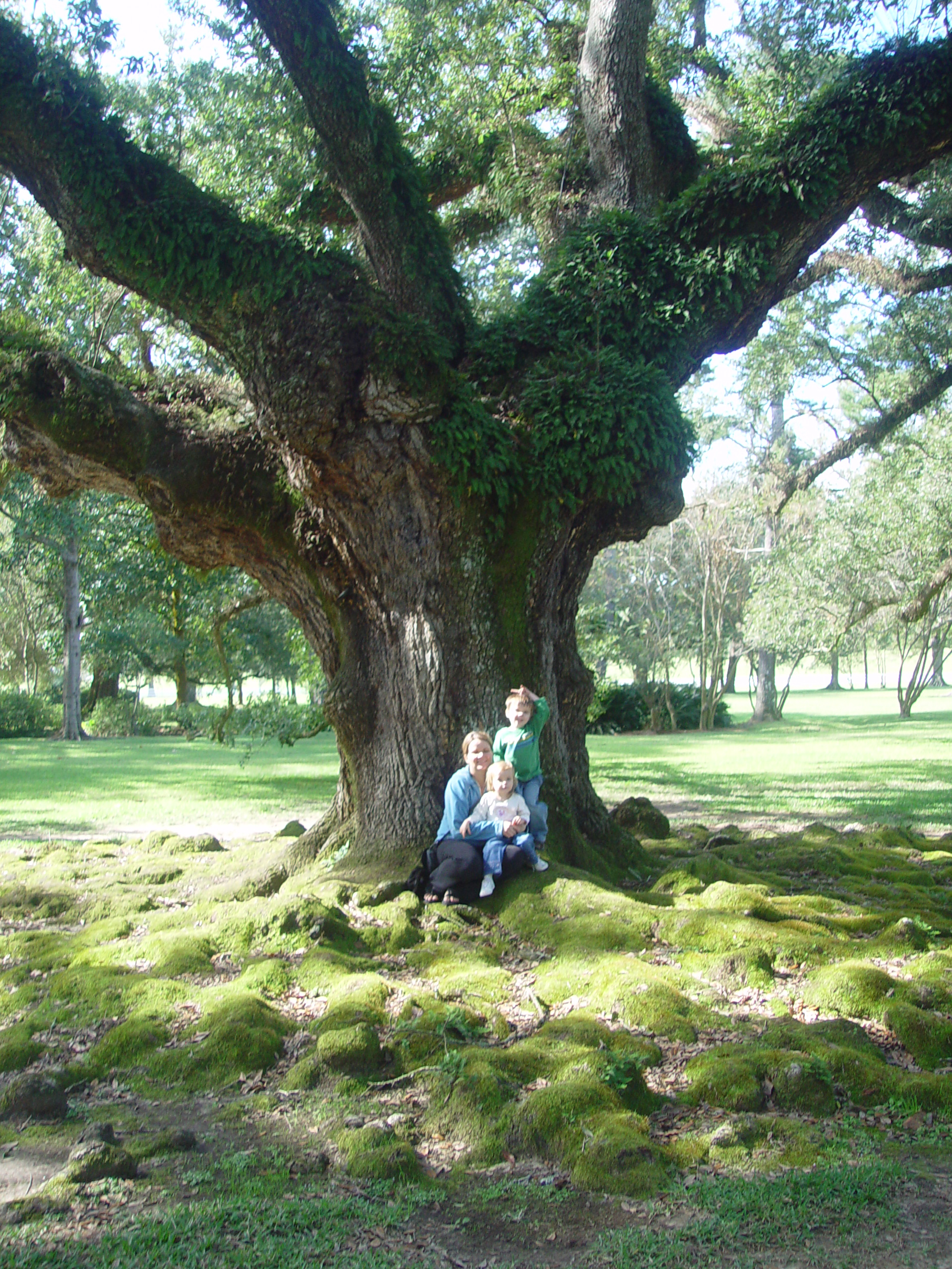 New Orleans Trip - Day 4 (Hurricane Katrina Devastation, Graveyards, Garden District, Oak Alley Plantation, Cajun Food)