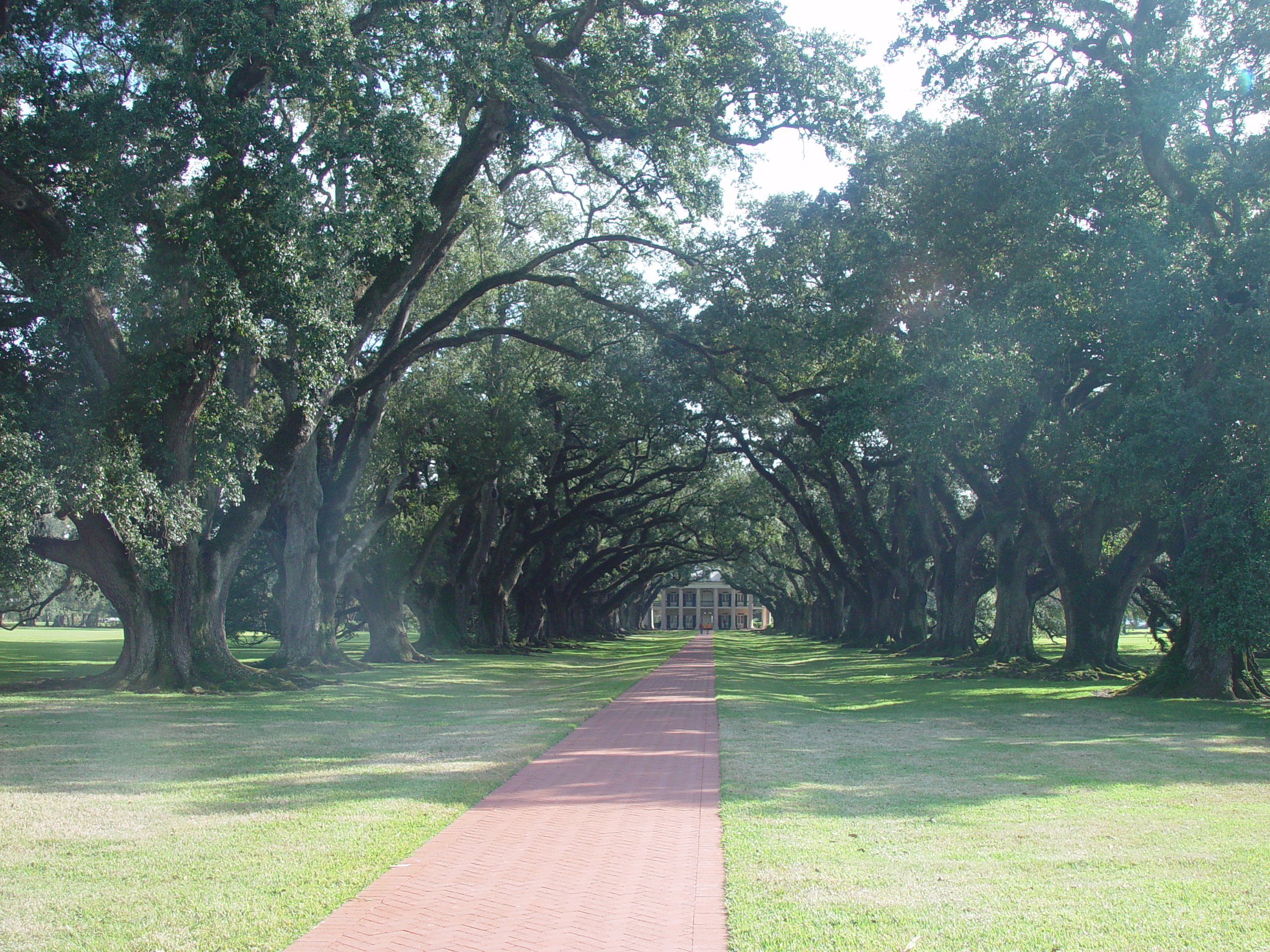 New Orleans Trip - Day 4 (Hurricane Katrina Devastation, Graveyards, Garden District, Oak Alley Plantation, Cajun Food)