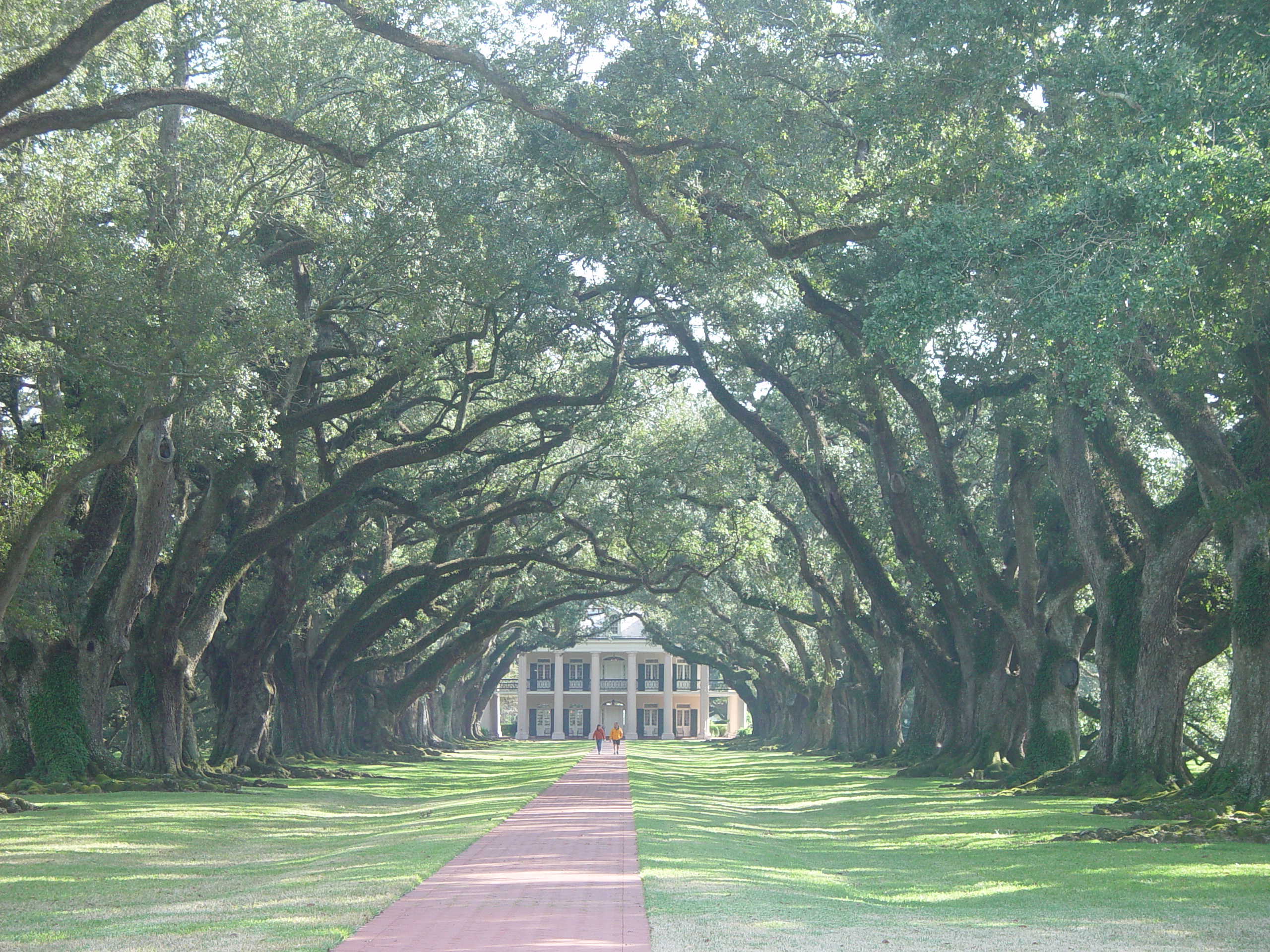 New Orleans Trip - Day 4 (Hurricane Katrina Devastation, Graveyards, Garden District, Oak Alley Plantation, Cajun Food)