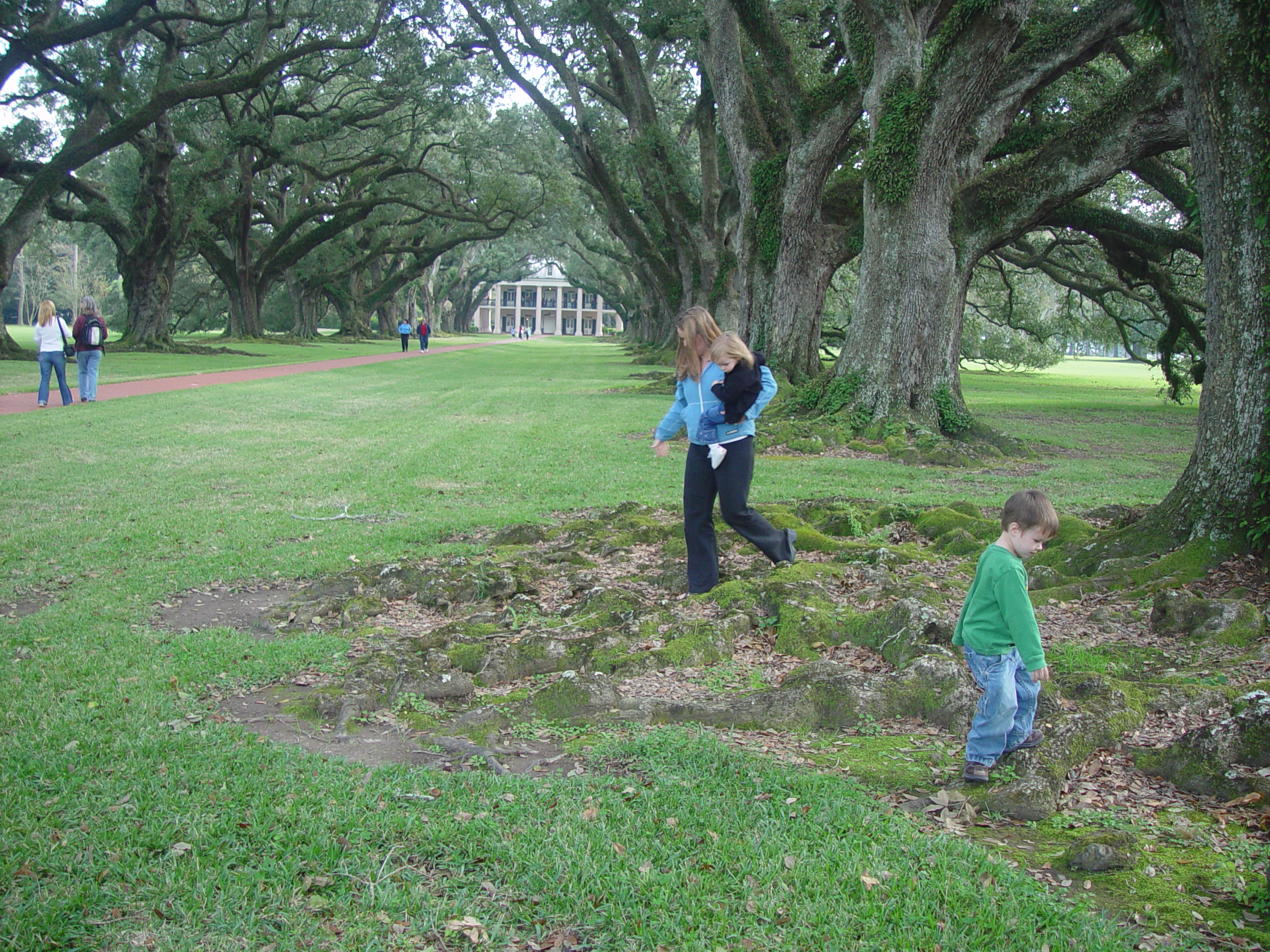 New Orleans Trip - Day 4 (Hurricane Katrina Devastation, Graveyards, Garden District, Oak Alley Plantation, Cajun Food)