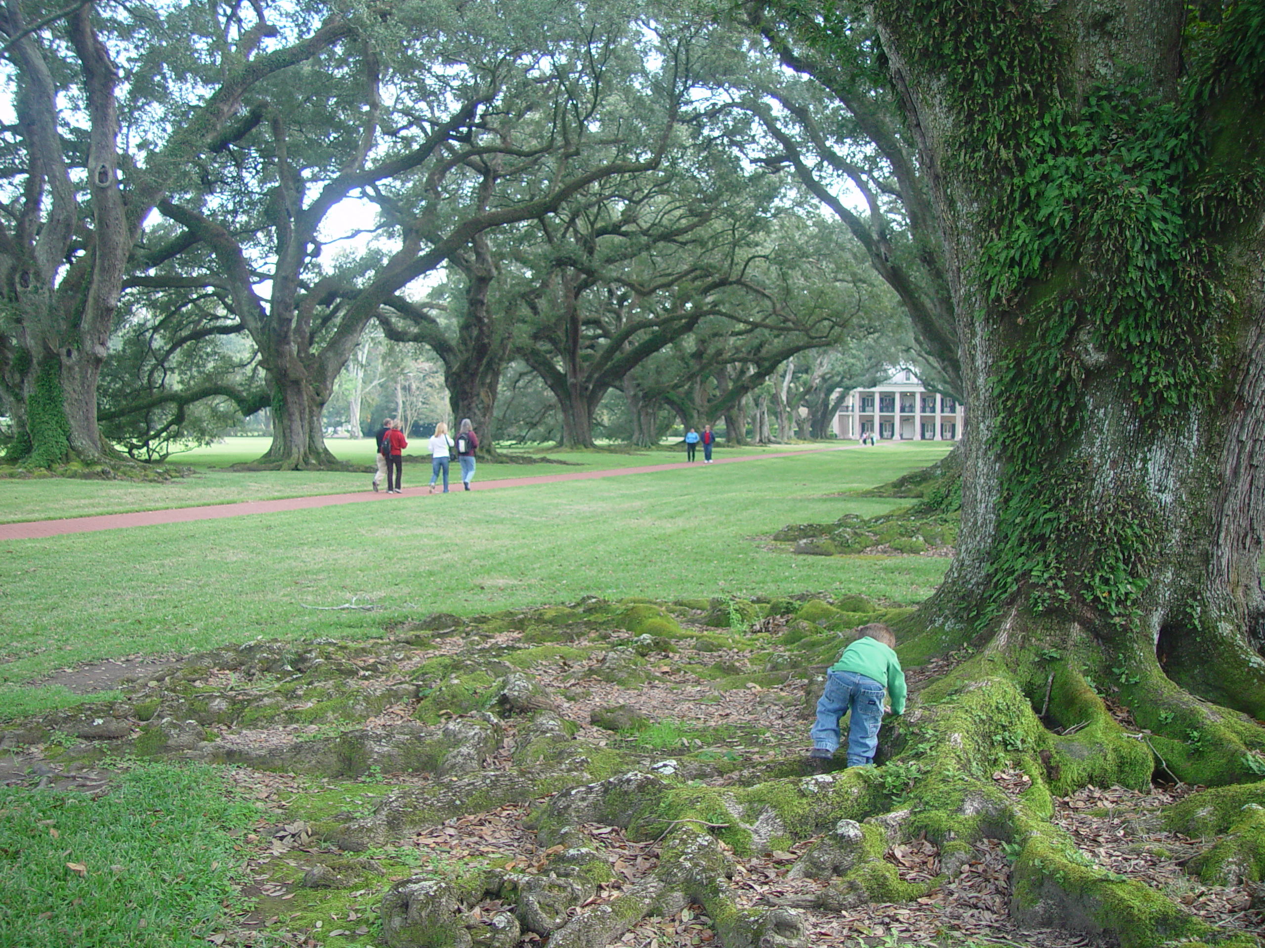 New Orleans Trip - Day 4 (Hurricane Katrina Devastation, Graveyards, Garden District, Oak Alley Plantation, Cajun Food)