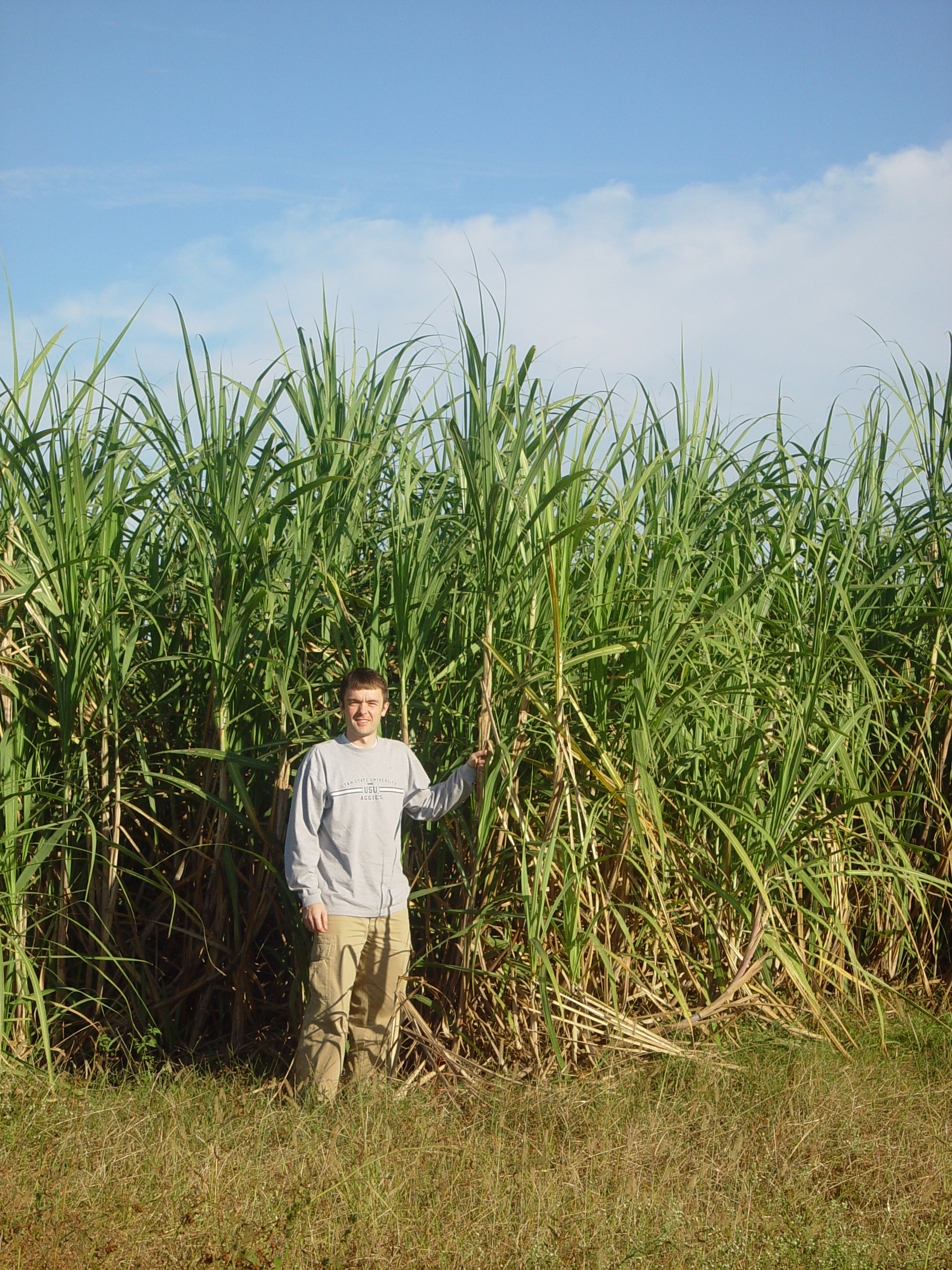 New Orleans Trip - Day 4 (Hurricane Katrina Devastation, Graveyards, Garden District, Oak Alley Plantation, Cajun Food)