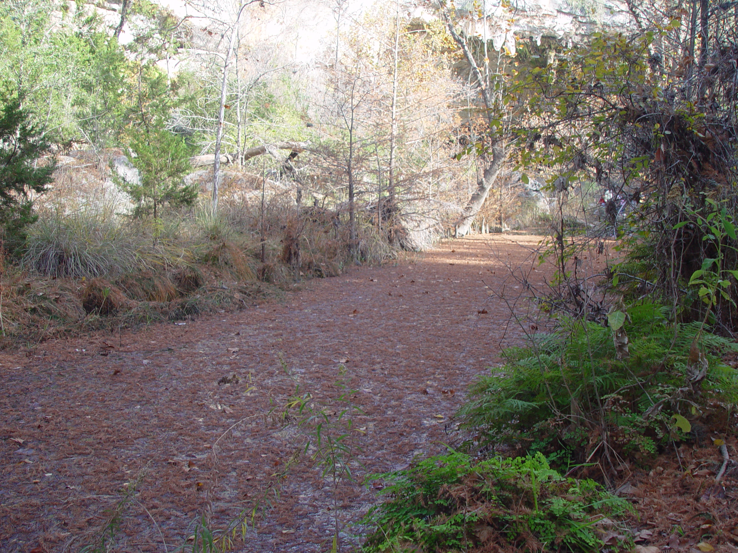 Hiking at Hamilton Pool Preserve with Stan and DeNae