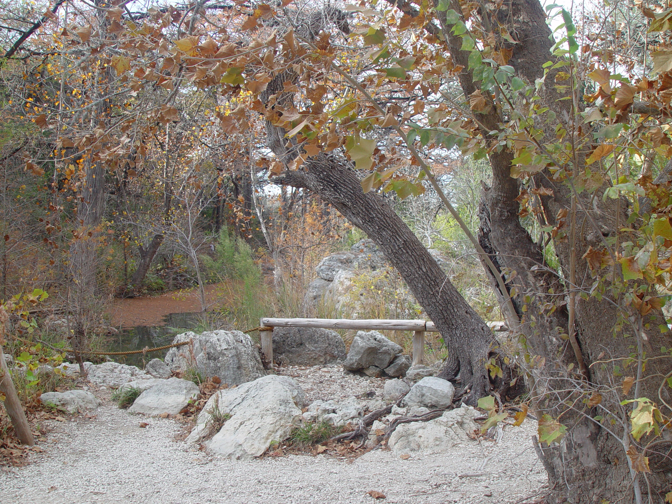 Hiking at Hamilton Pool Preserve with Stan and DeNae