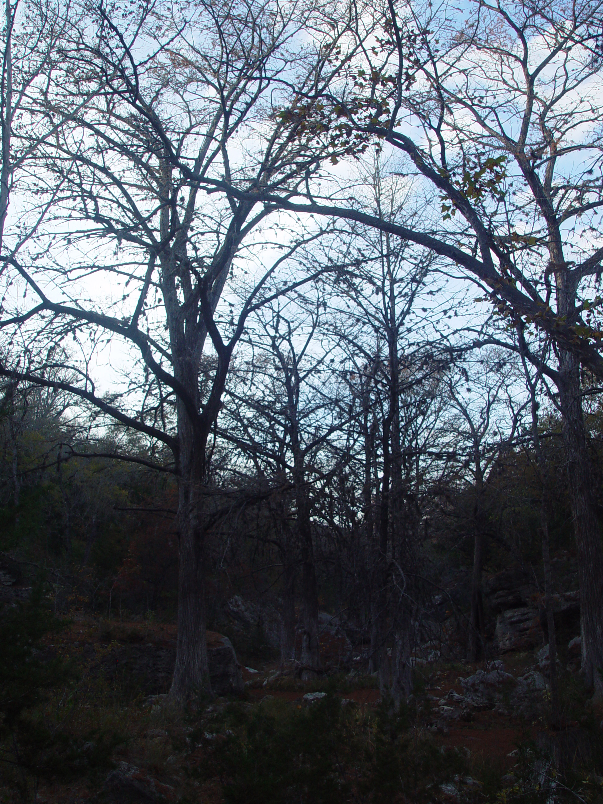 Hiking at Hamilton Pool Preserve with Stan and DeNae