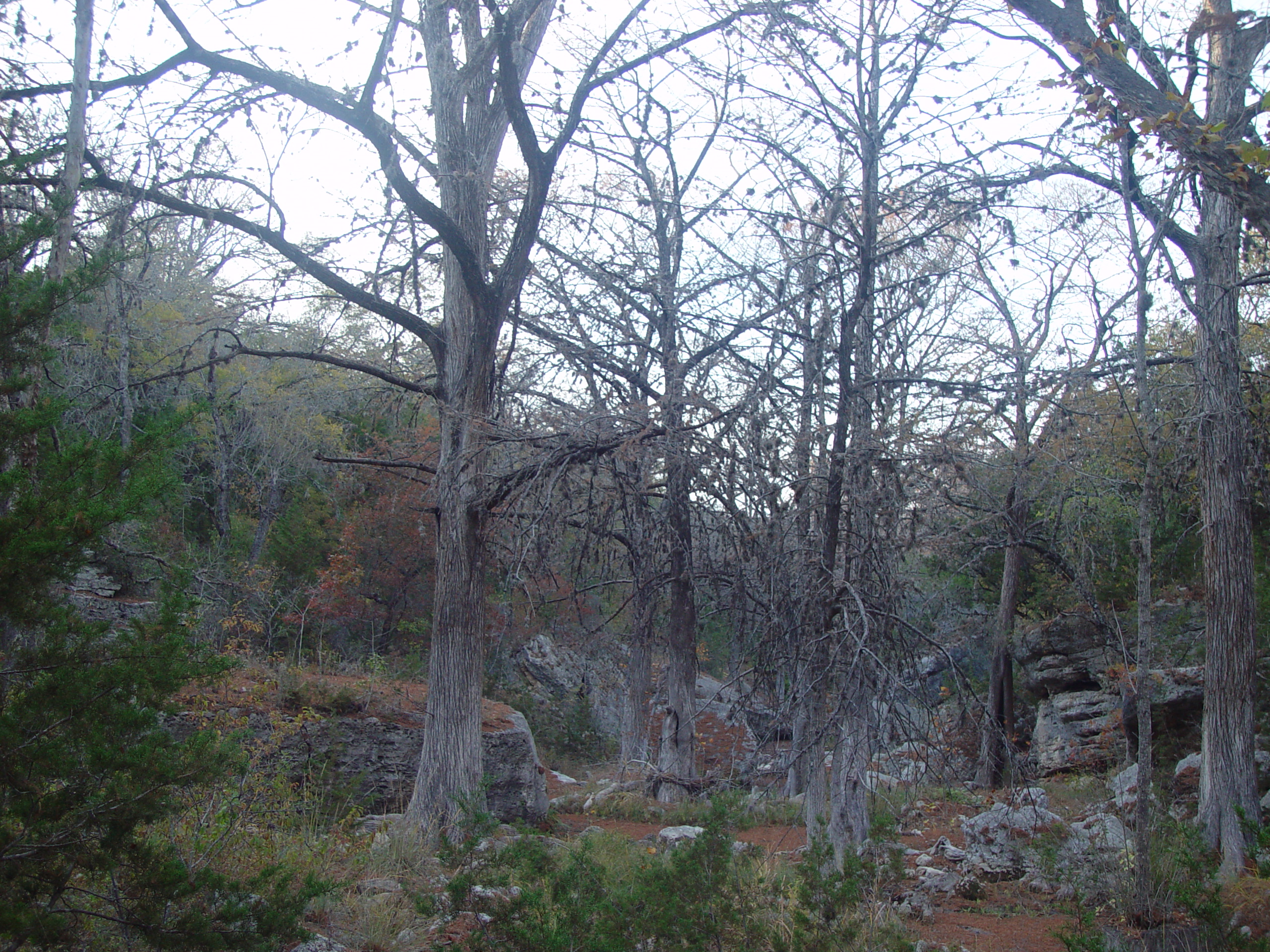 Hiking at Hamilton Pool Preserve with Stan and DeNae